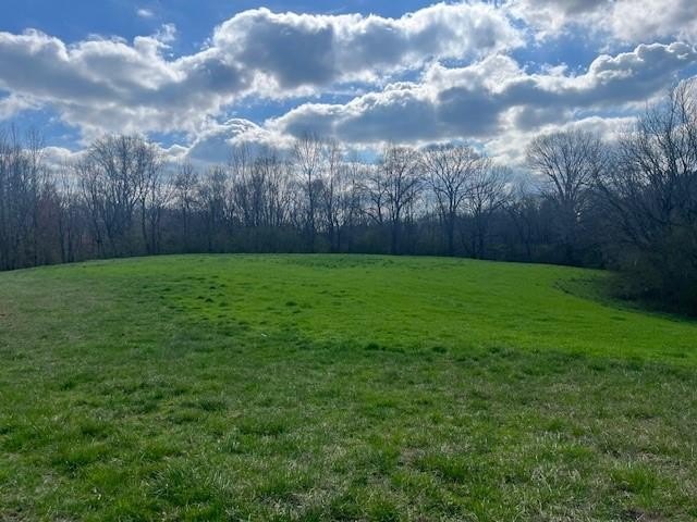 Land in Talking Rock, GA