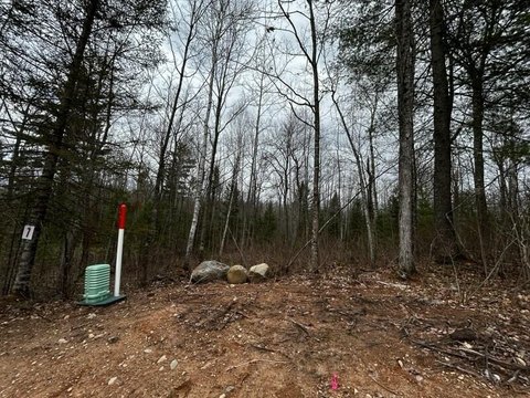 Eagle River Acreage for Sale