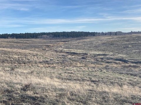 Placerville Land For Sale