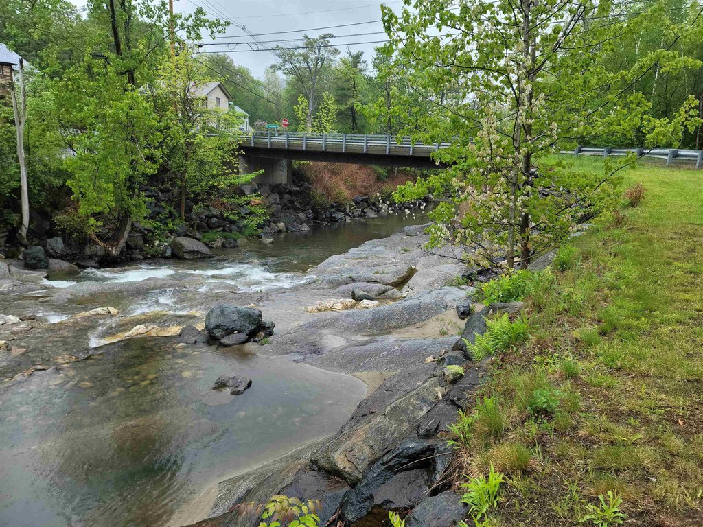Picture 19
