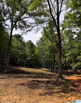 LAND/LOTS, VANDIVER, AL