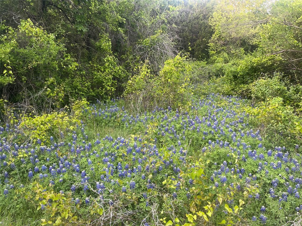 Picture 18