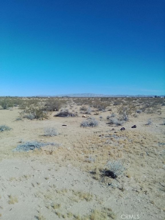 Picture 4