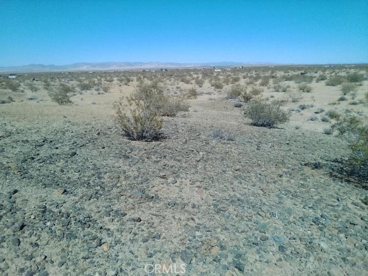 Picture 6