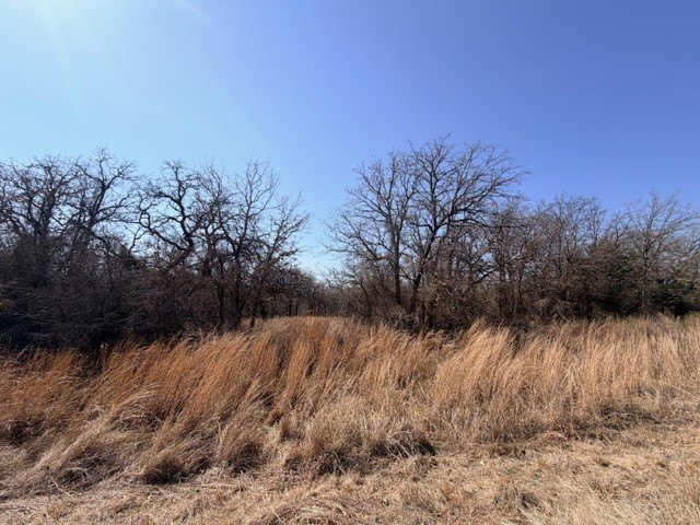 Picture 11