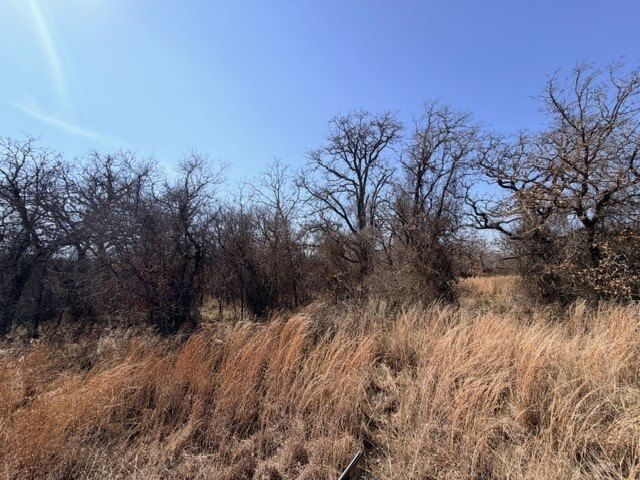 Picture 6