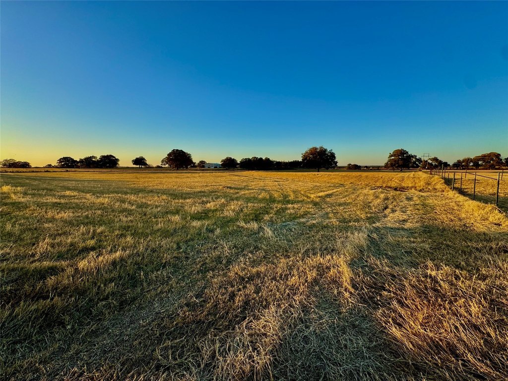 Picture 29