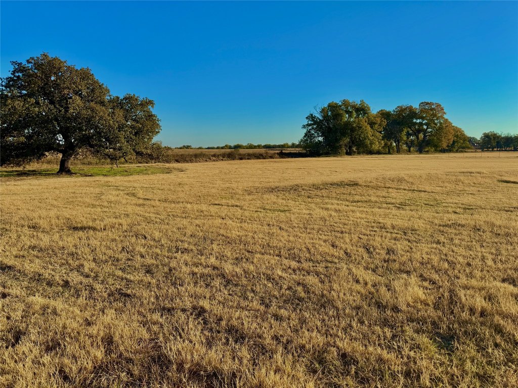 Picture 25