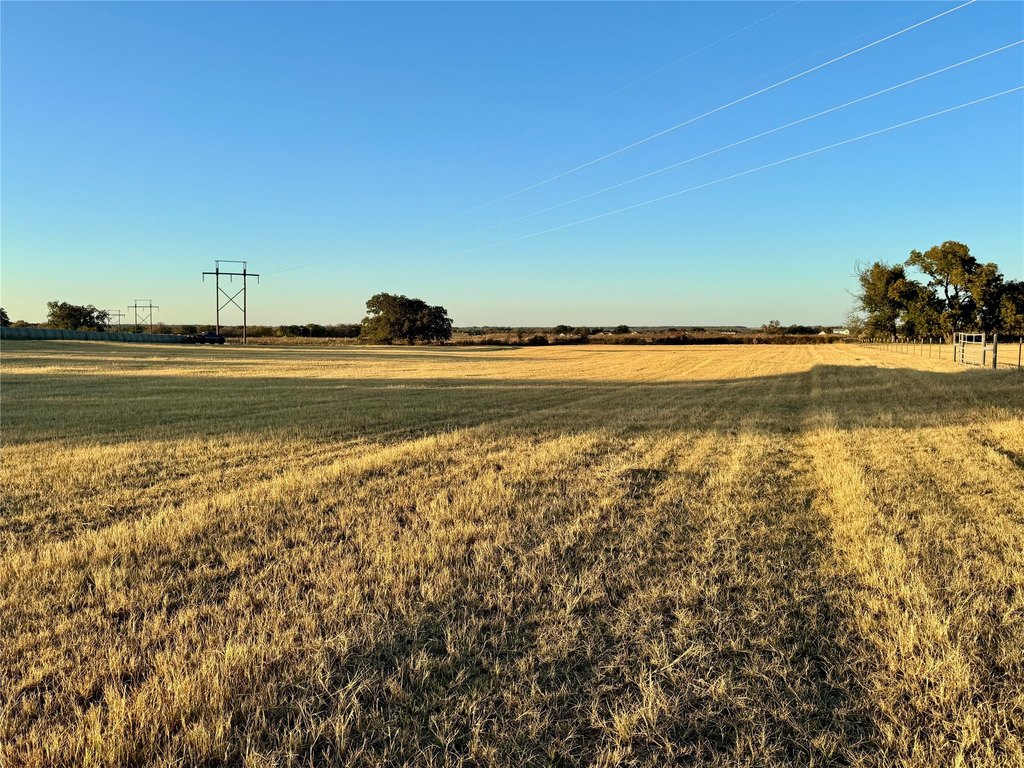 Picture 31