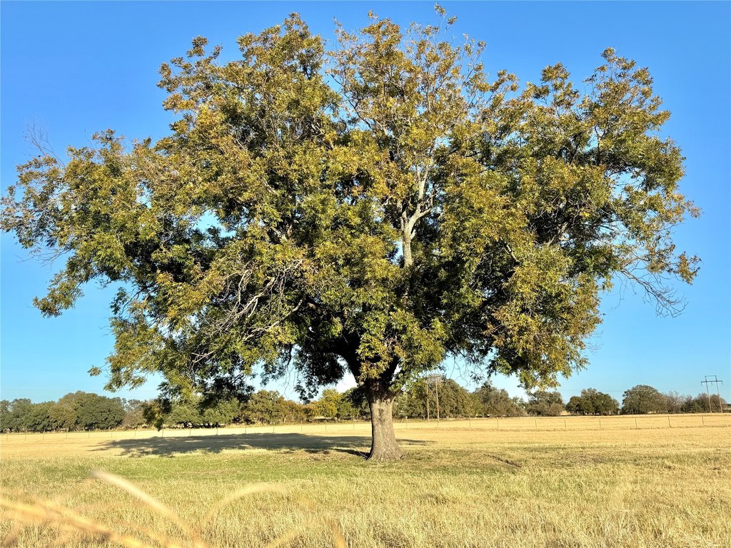 Picture 39