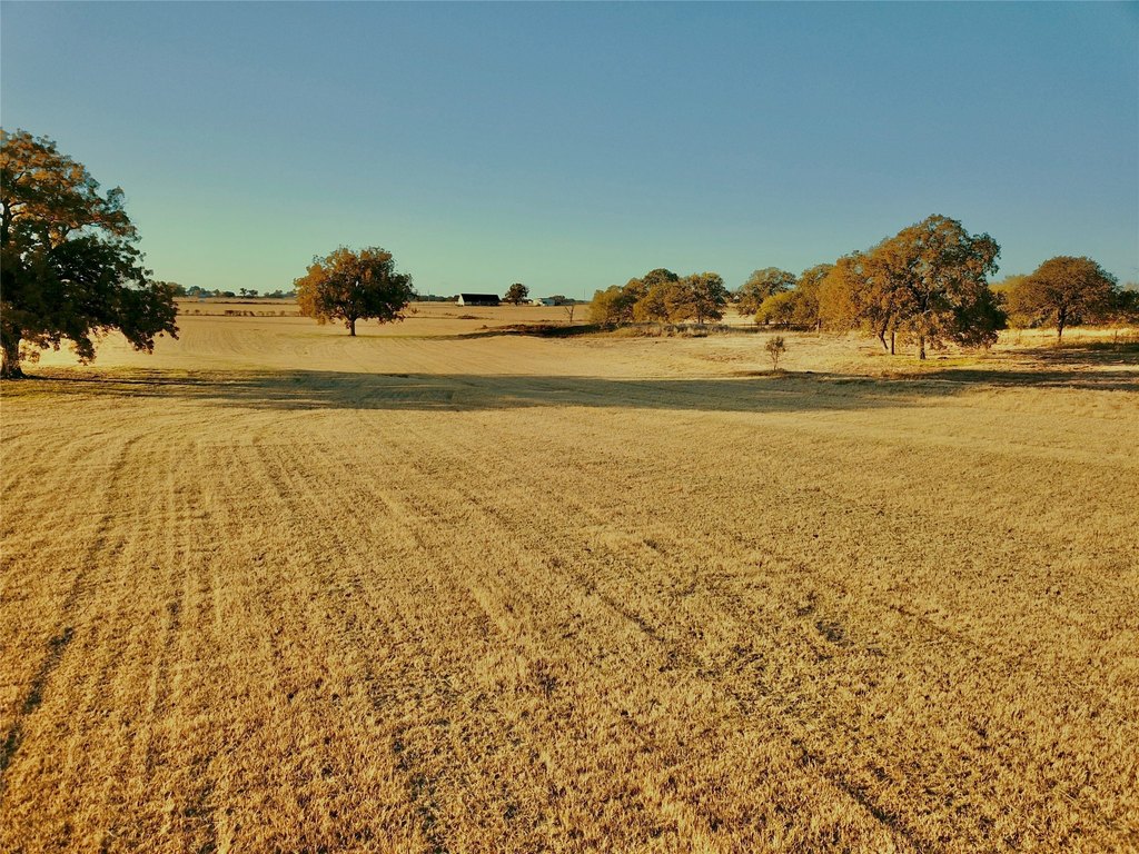 Picture 23