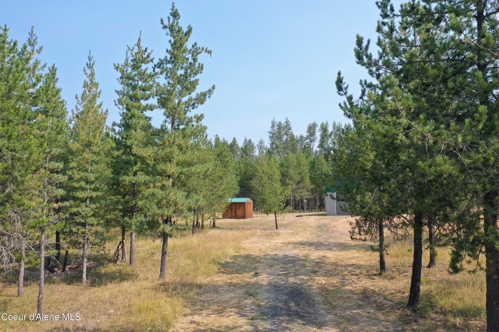 Picture 6