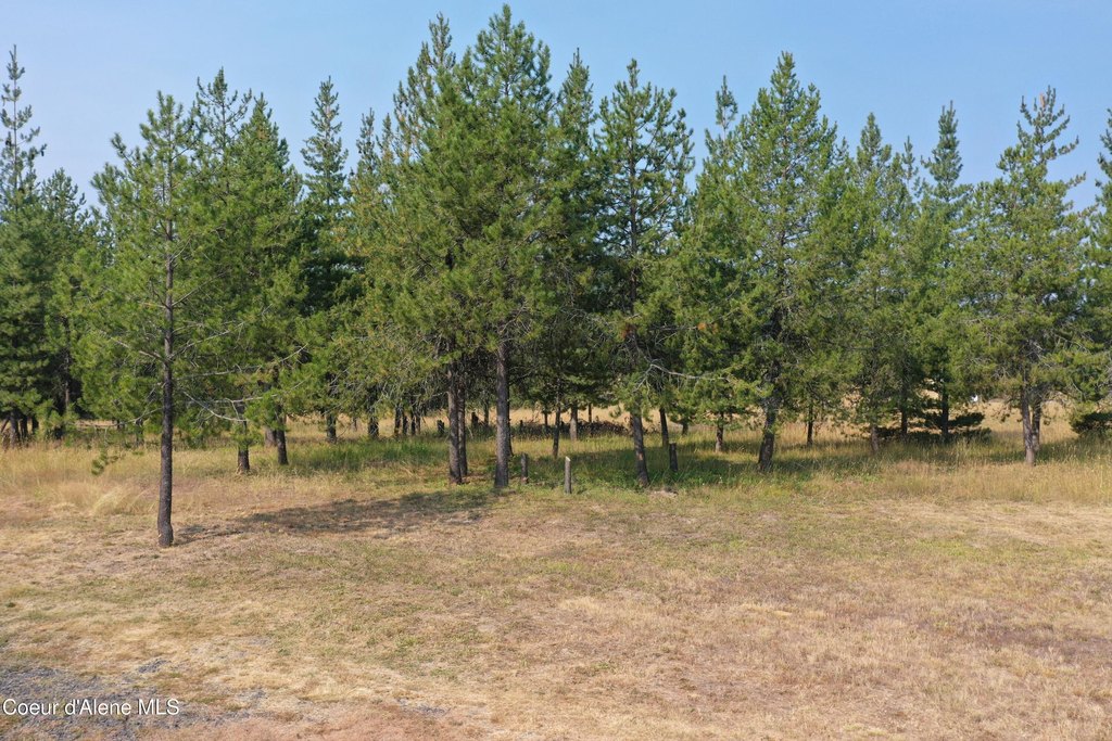 Picture 20
