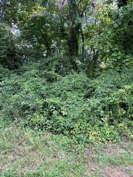 Land, Canton, GA