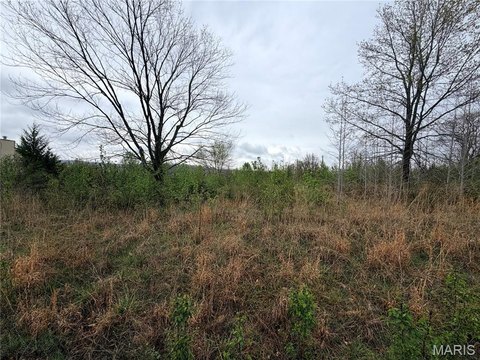 Residential Land in Hunters Point