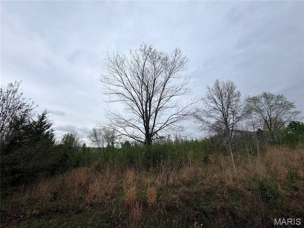 Picture 2