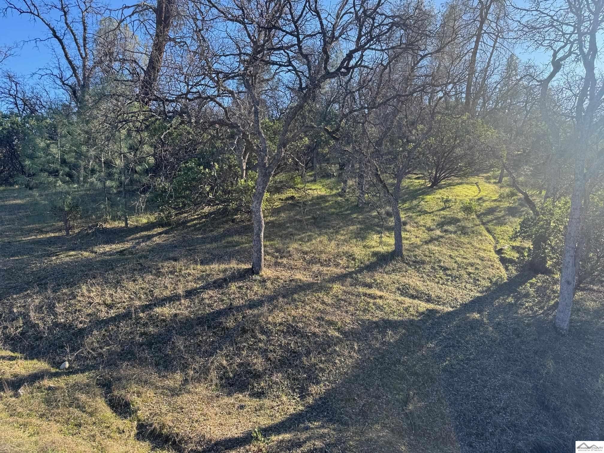 Corner Lot in Rancho Tehama