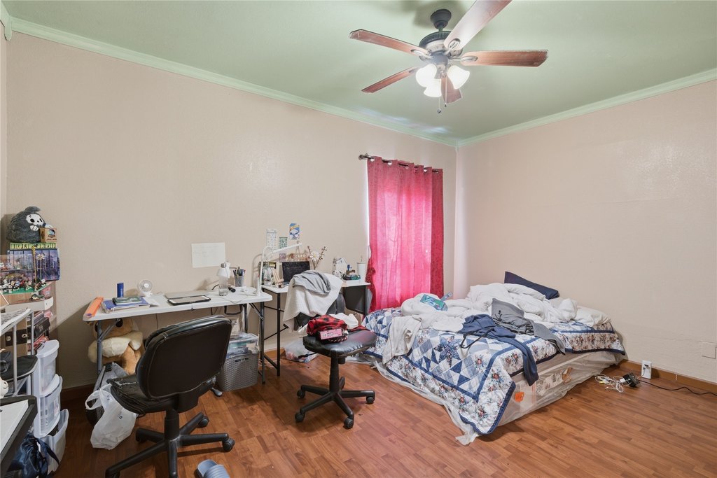 Picture 19
