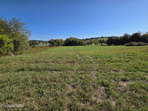 Lots & Acreage, Madisonville, TN