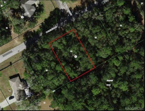 LAND - Dunnellon, FL