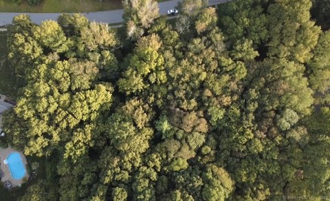 Wooded Land Parcel in Putnam