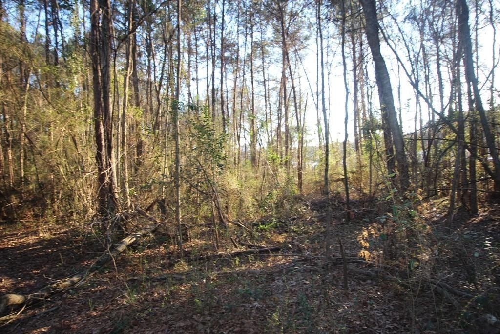 Picture 2