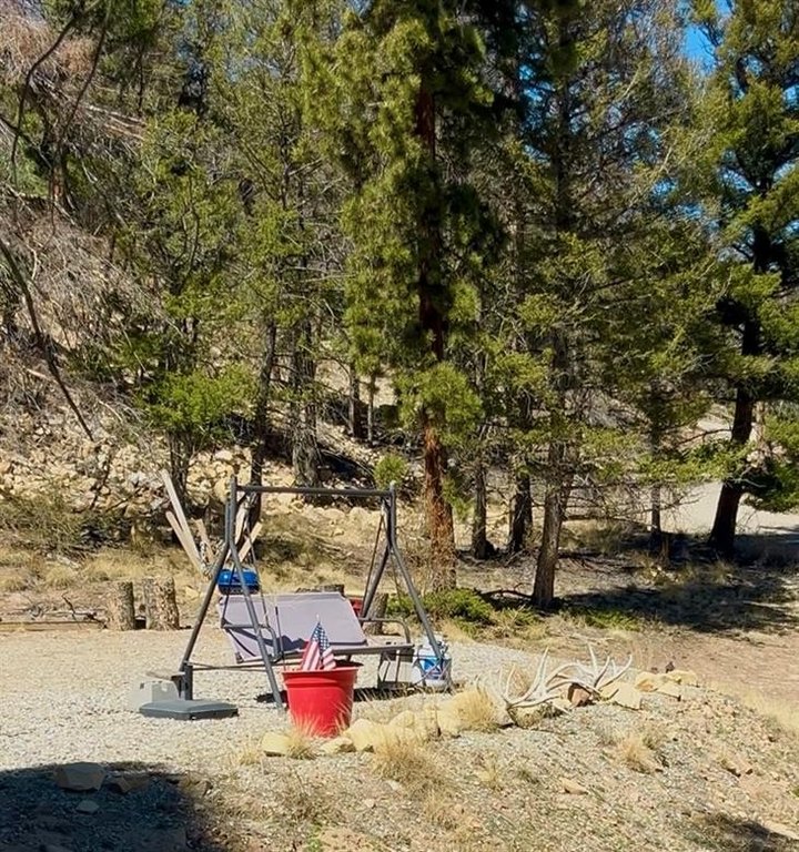 Picture 11
