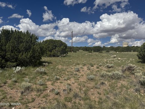 Concho, AZ Buildable Lot