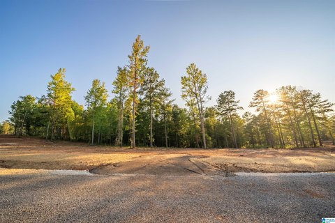 LAND/LOTS, WEDOWEE, AL