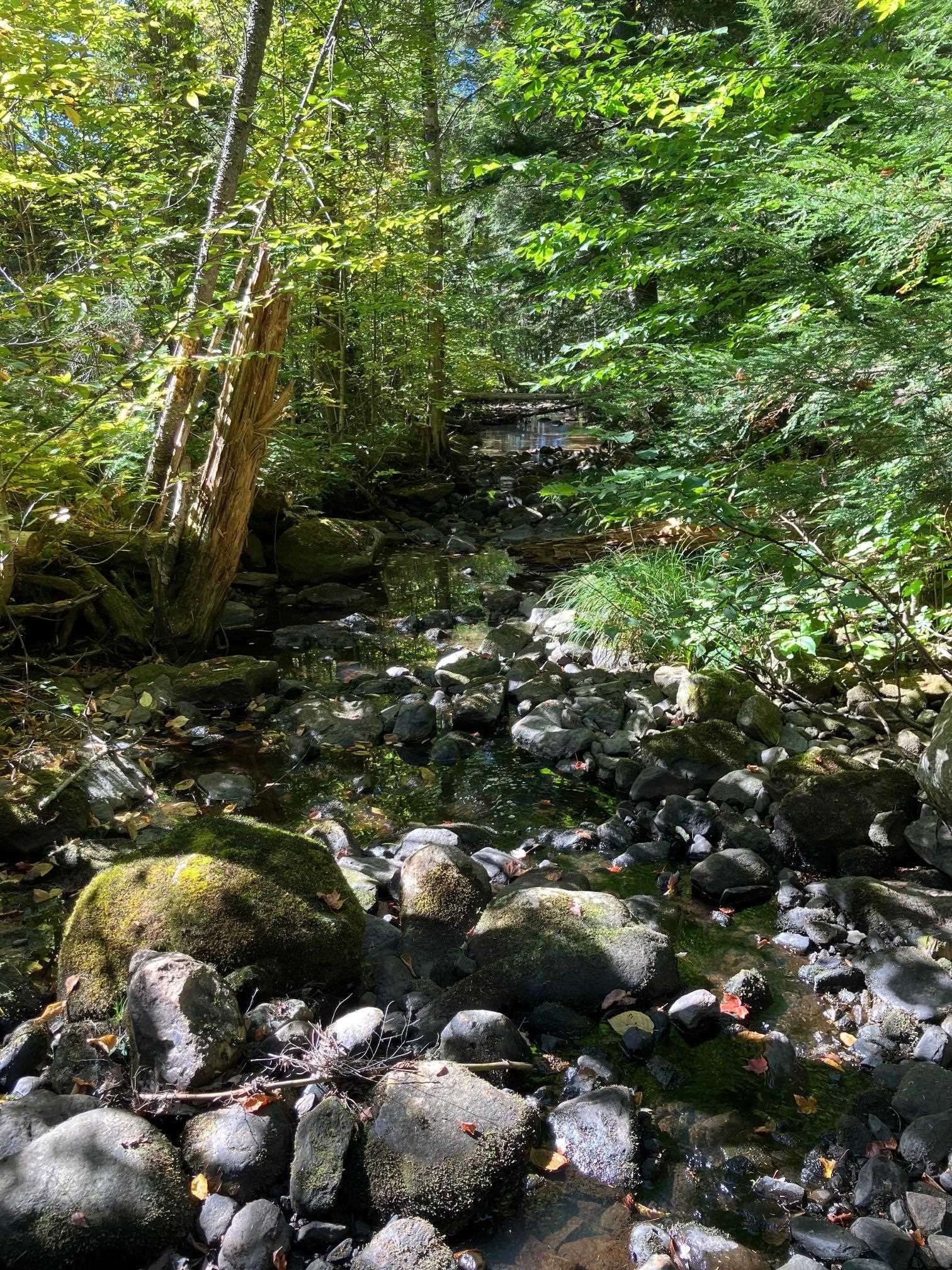 Wilmington, VT Land For Sale