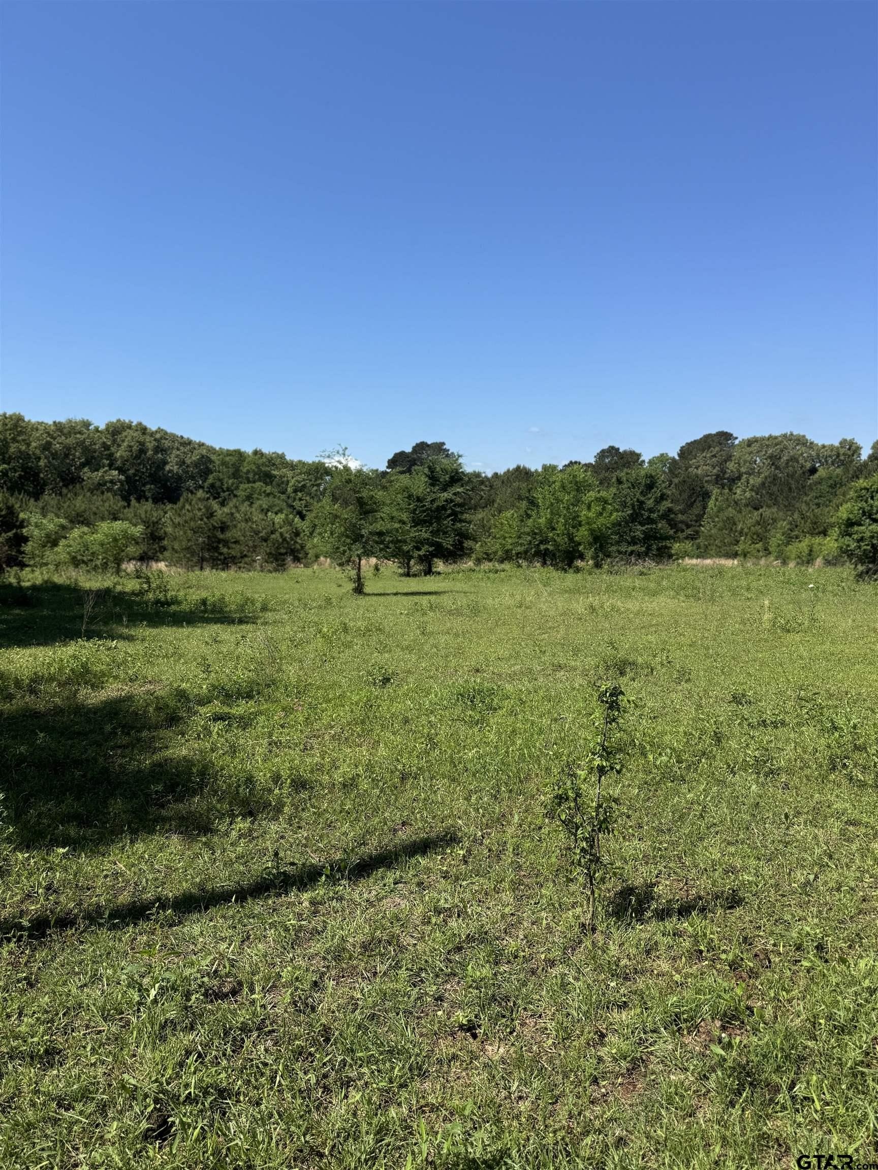 Jacksonville Acreage on FM 855