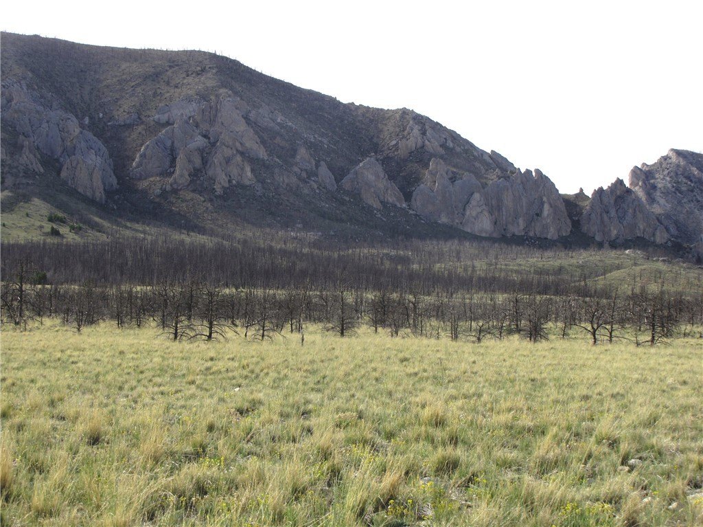 Picture 25