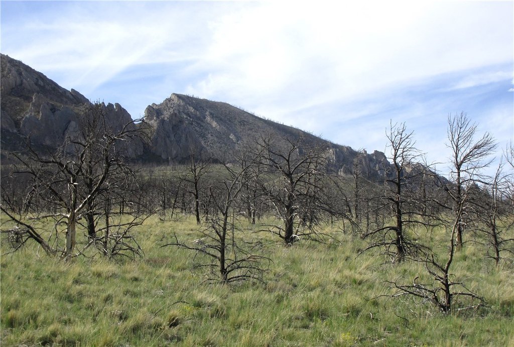 Picture 24