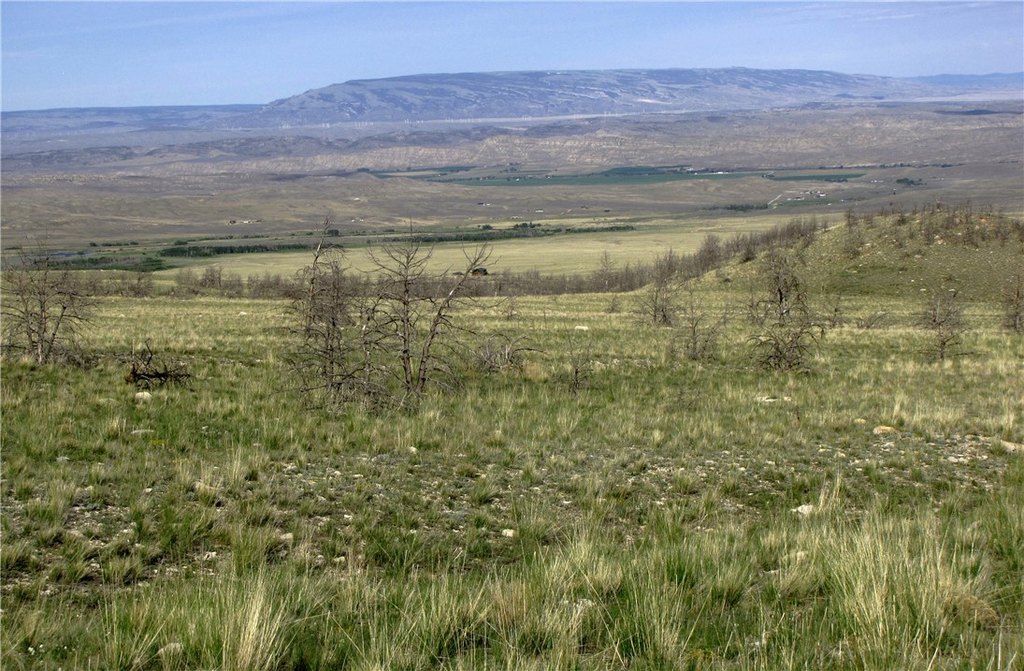 Picture 13
