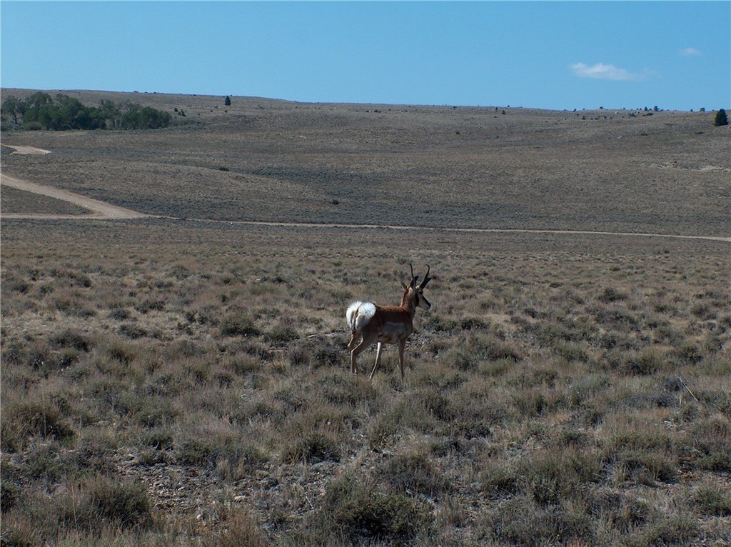 Picture 30