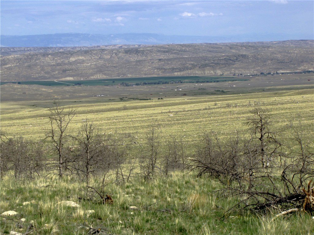 Picture 18