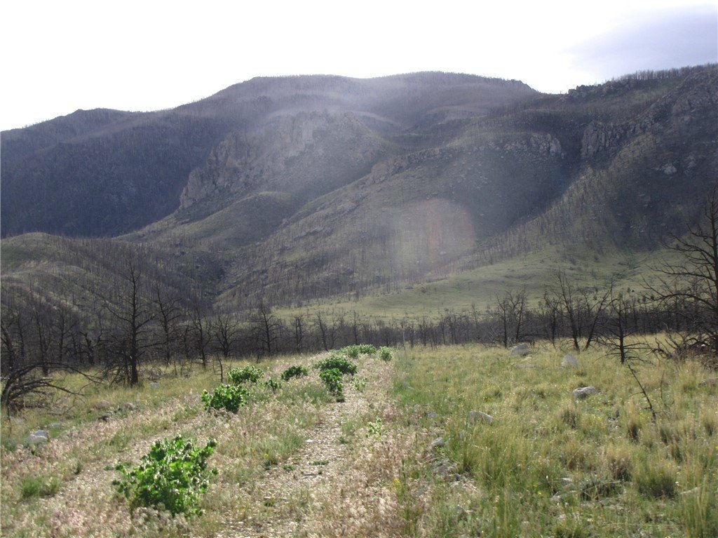 Picture 20