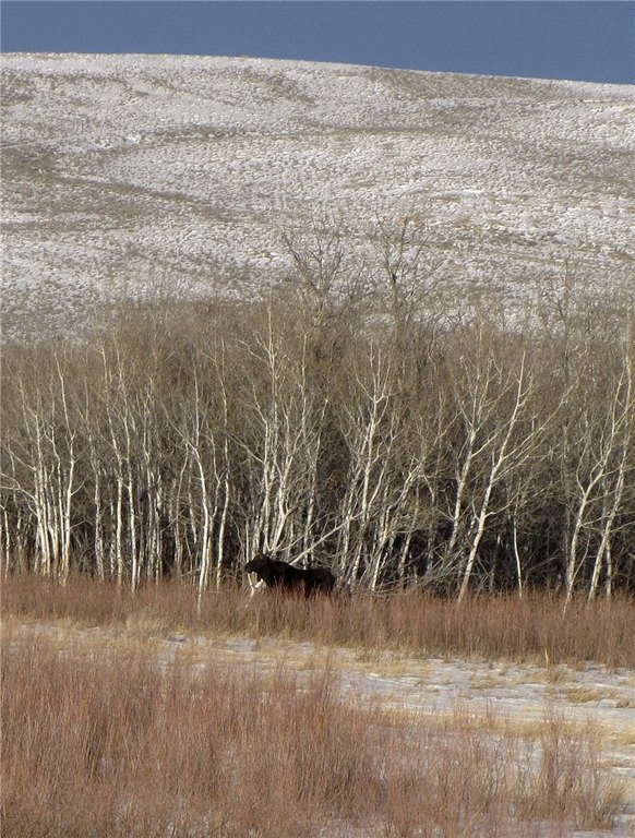 Picture 28