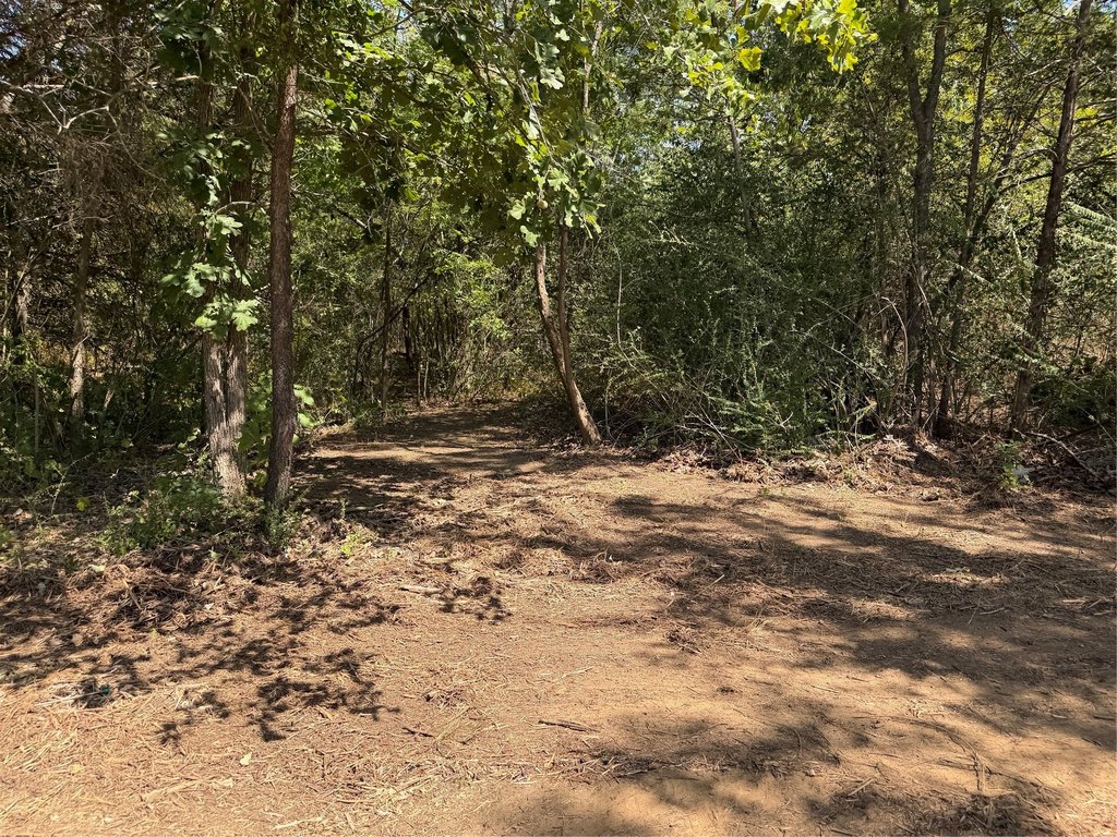 Picture 21