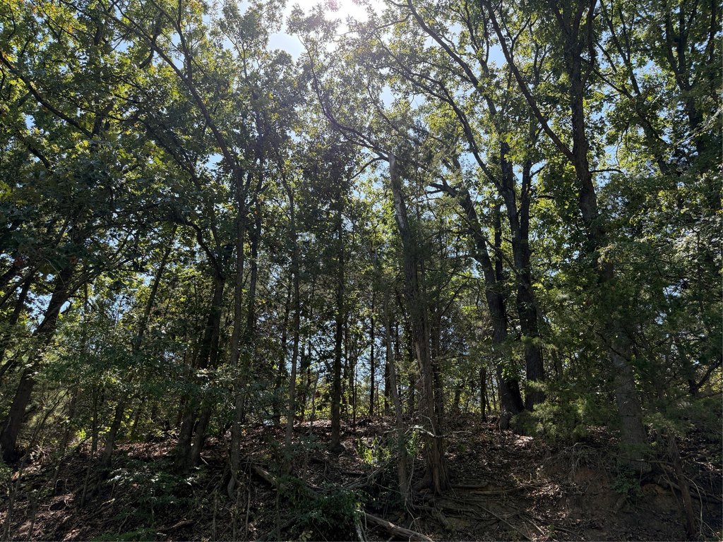 Picture 16