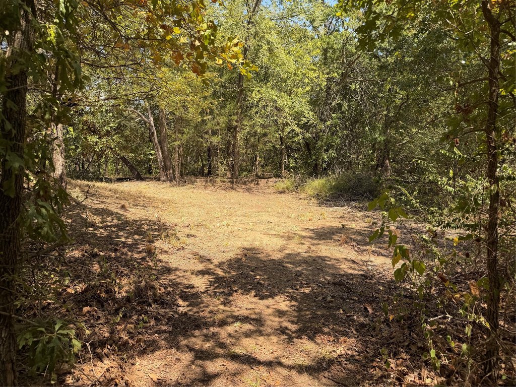 Picture 19