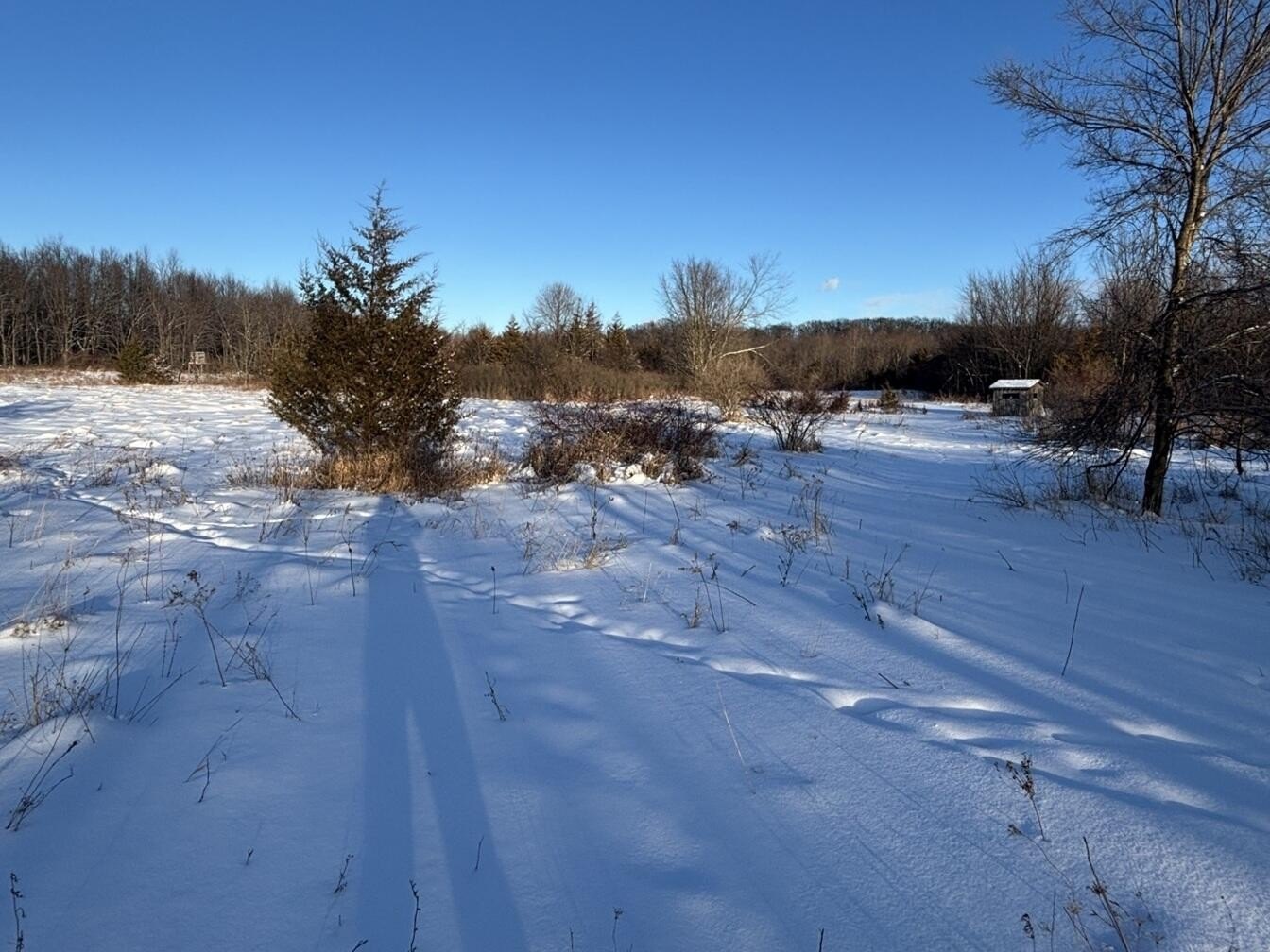 Osseo, MI Hunting Land