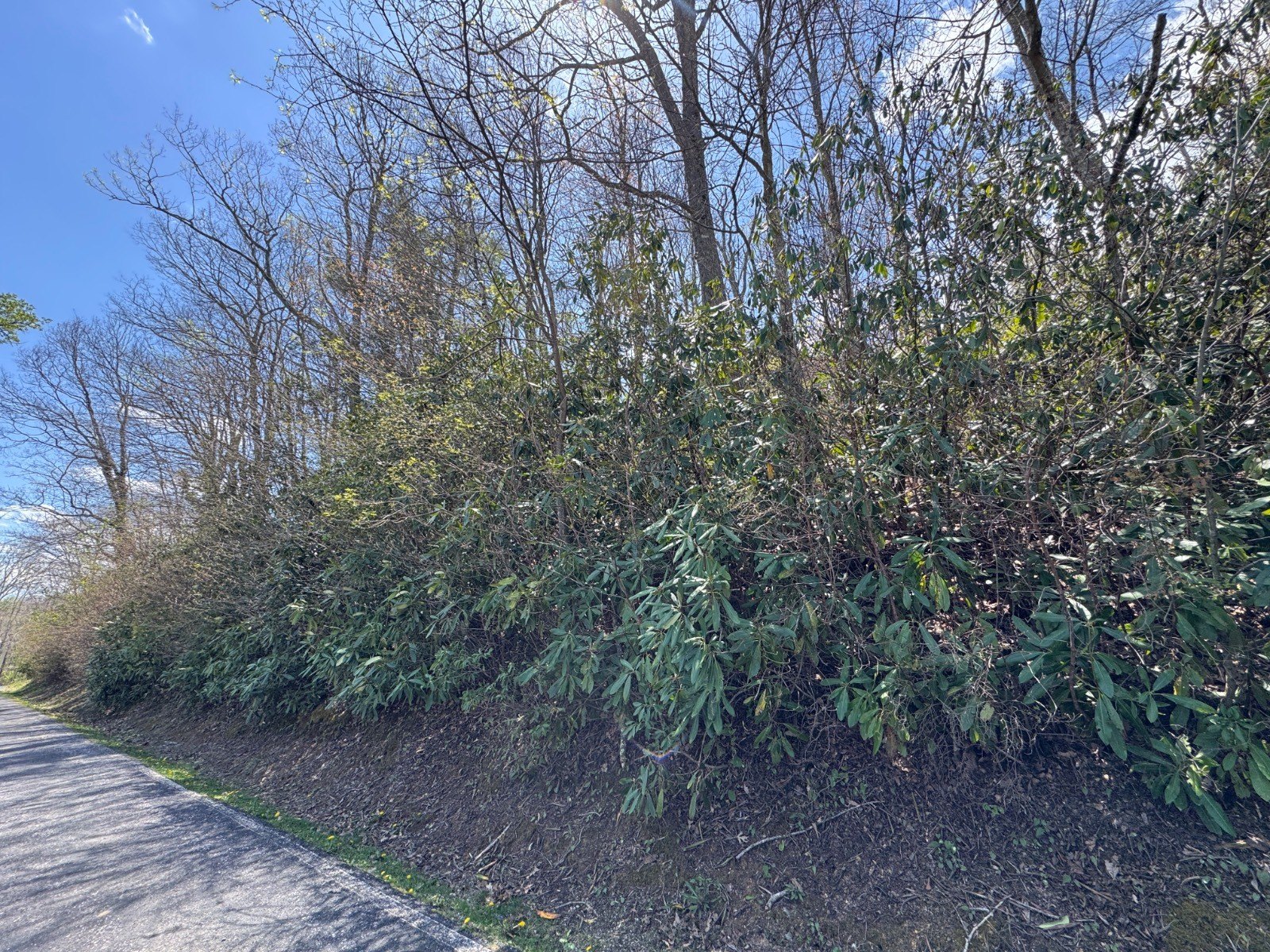 Vacant Land Near Golf Course