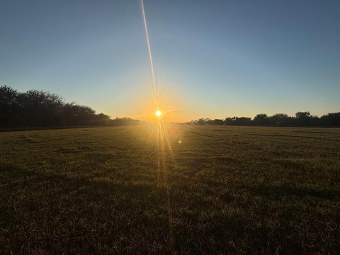 Commercial Land in Quemado, TX