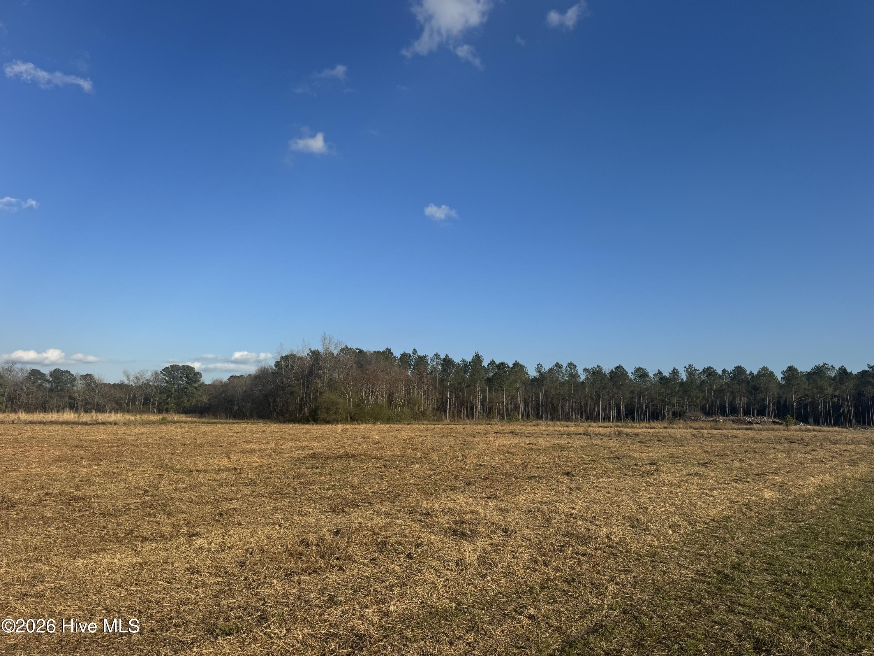 Farm and Timberland Opportunity