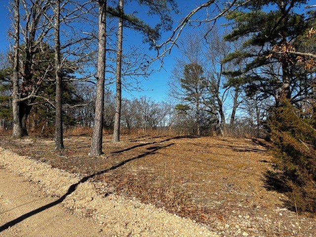 Picture 6