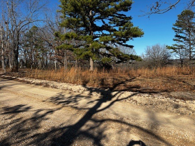 Picture 5