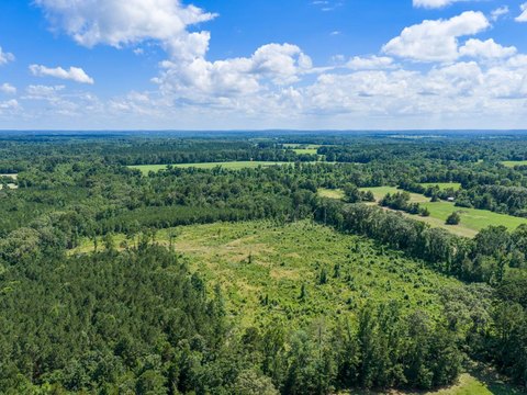 Recreational Timber Land Homesite