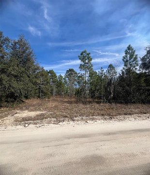 Agricultural Land Lot for Sale