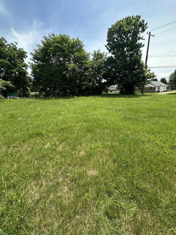Picture 6